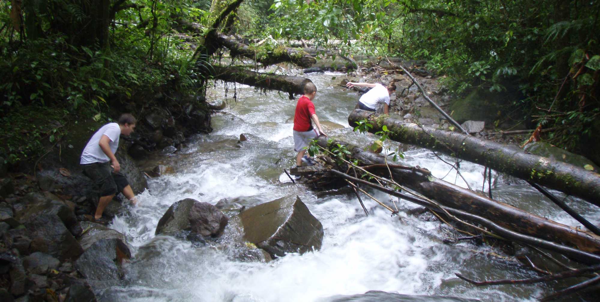 Serendipity Costa Rica guests crossing stream in cloud forest